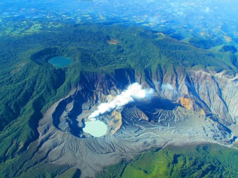 Section Image