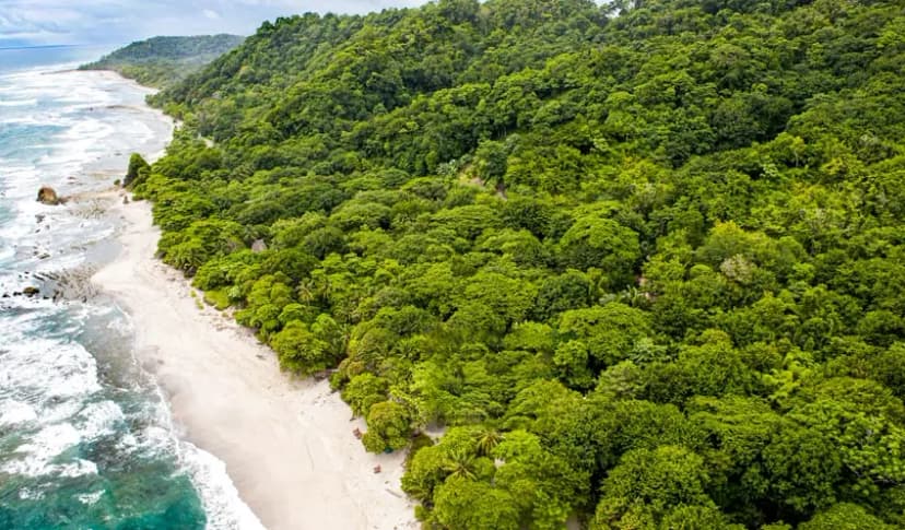 Image related to Costa Rica: A Sanctuary of Biodiversity